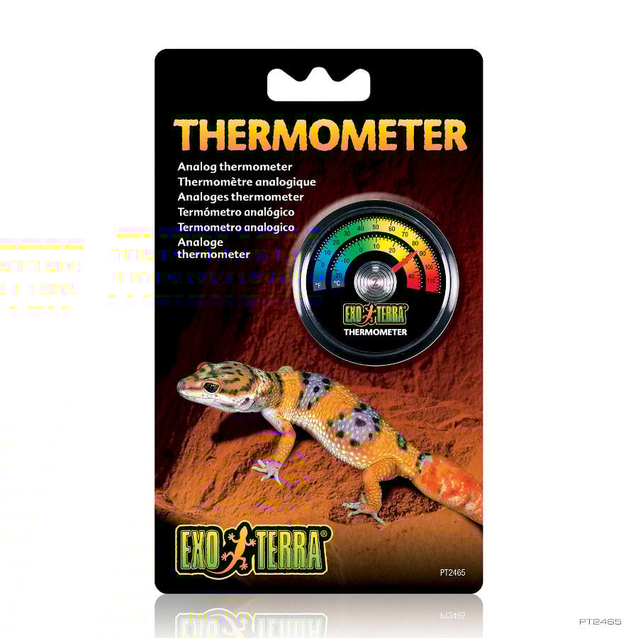 Exo Terra Termómetro analógico para terrários